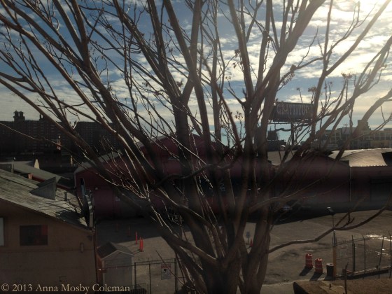 Connecticut Christmas Day 