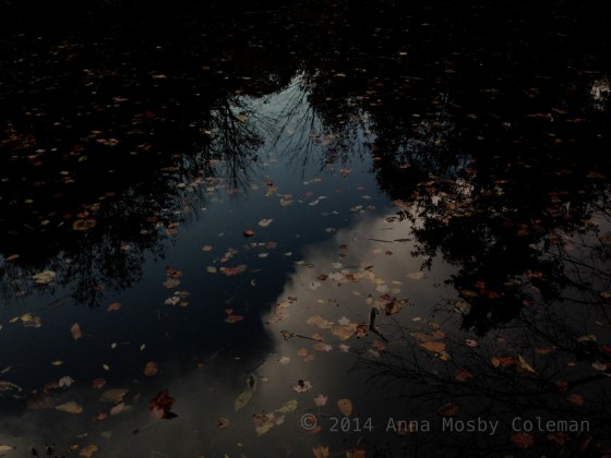 sky-pond-trees-night-2014_Anna-Mosby-Coleman