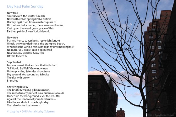 Day-Past-Palm-Sunday_3-30-2015_Anna-Mosby_Coleman