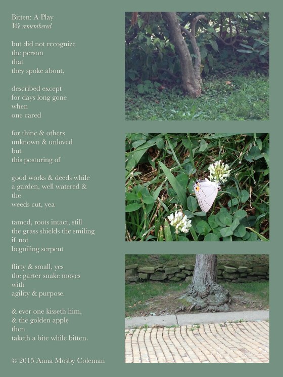 Bitten_A-Play_©_2015_Anna-Mosby-Coleman