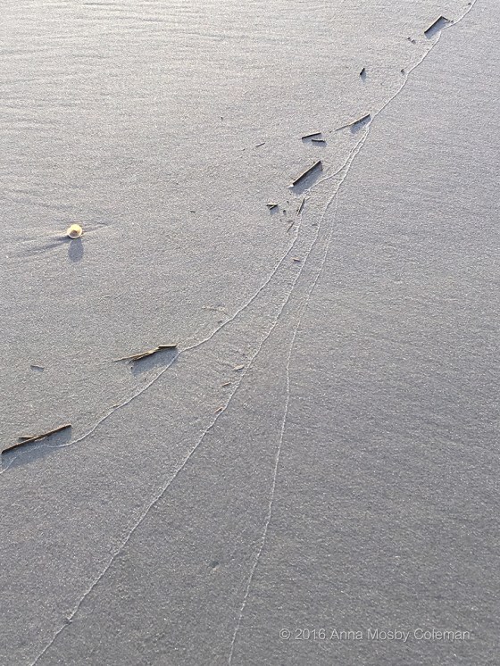 far-rockaway-trail-2016_anna-mosby-coleman