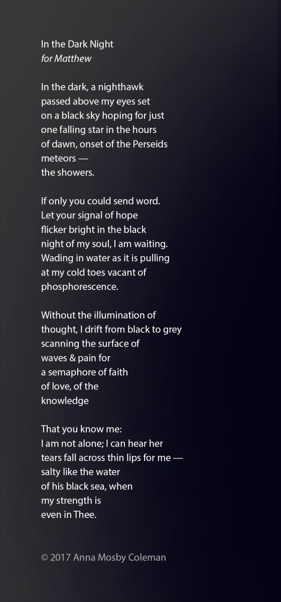 In-the-Dark-Night_©2017AnnaMosbyColeman